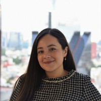 Casandra N Barrera Rojo