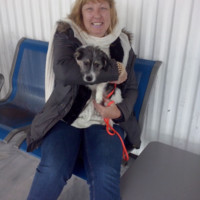 Marijke Wit