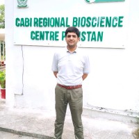 Hassan Raza, Ph.D.