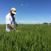 Marcelo (El Colo) López