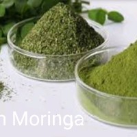Fam Moringa