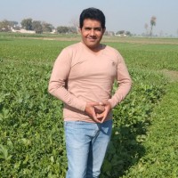 Fateh Malik