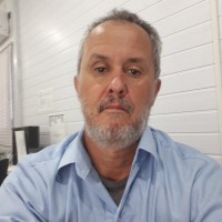 Helio Borelli Junior