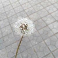 郭仪新