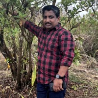 Jijo Paul