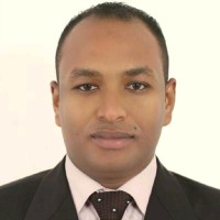 Ibrahim Hosny Mersal