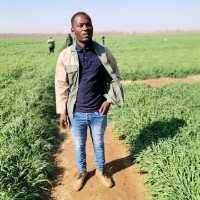 Mholi Khumalo