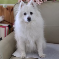 김민수