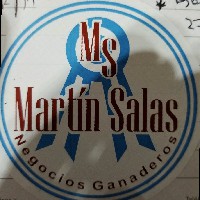 Fernando Martín Salas