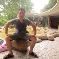 付伟光