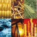 commodity tips