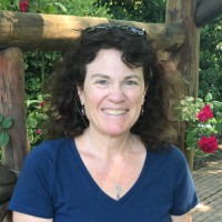 Debbi Harte