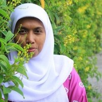 maisarah pohan