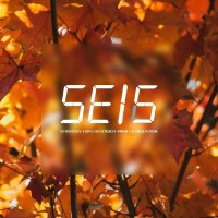 SEIS Servicios Especializados