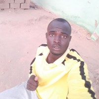 Mohammed Bashir Elnour