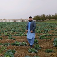 Nabi Sultani