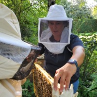 Sibyle Moulin 🐝🦔