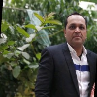 Guddu Naqvi