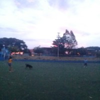 Sérgio De Almeida Figueiredo