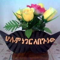 Bedada Bekele