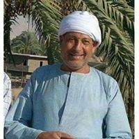 Usama Elsharkawi