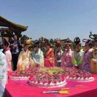 张冬冬