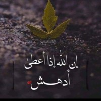 Dania Yaseen