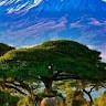 Hillary Otieno