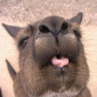 Jean-Marie Tielemans