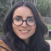 Ana Paula Rodrigues Borges