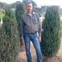 Dhananjay Kumar