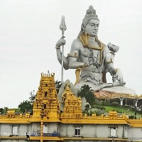Dhanraj Palanisamy