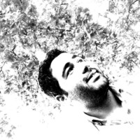 s.mahmoud nourbakhsh