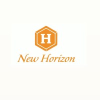 NEW HORIZON EXIM LIMITED COMPANY