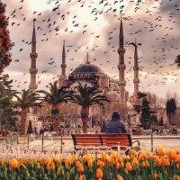 Ashraf Ayesh