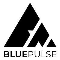Blue Pulse Academy
