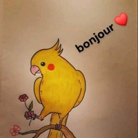 Lofi Zoulfi