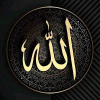 Nabeela Saqib Nabeela