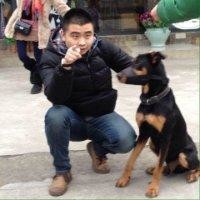郑乔引