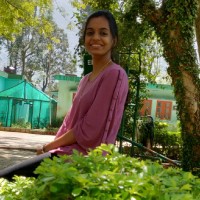 Jayasree C J