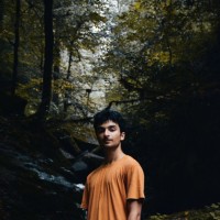 Erfan Moosavi