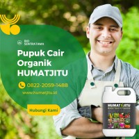 Humat Jitu