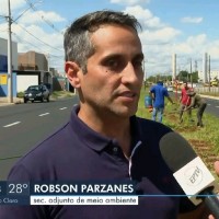 Robson Parzanes