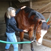 Marjolein Raaijmakers