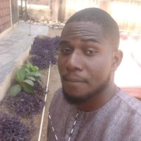 Ifeanyi Austin Maduagwuna