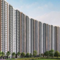 Prestige Lavender Fields