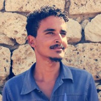 Ayman Hashim Sedahmed