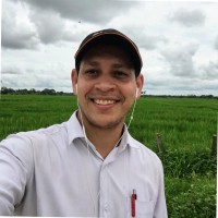 Darío Ocando Sánchez