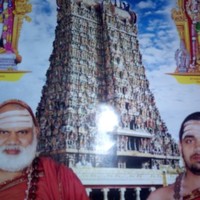 Narasimhan S