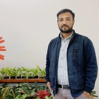 Raj Pathak